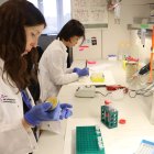 Investigadores del grup de Recerca Biomèdica en Melanoma del Vall d'Hebron Institut de Recerca (VHIR) treballant al laboratori.
