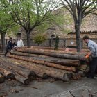 Els veïns treballaran durant tota la setmana per construir els rais que baixaran divendres. - C.SANS