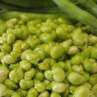 Les favetes - AMETLLES I AVELLANES