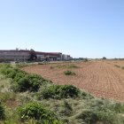 La zona on es preveu el futur biopolígon d’Alguaire. - MAGDALENA ALTISENT