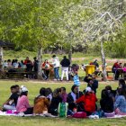 La mona protagonitza ‘A diari’ - SEGRE
