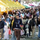 Vídeo ambient Sant Jordi a Lleida / Amado Forrolla