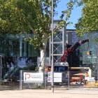 Operaris substituïen vidres aquest dimecres al Palau de Vidre.