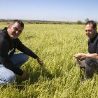 Antoni Gilabert i Salvador Nadal analitzen la situació d’una finca. - LAIA PEDRÓS