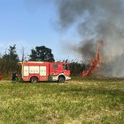 foc