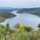 Màxima capacitat - LLUÏSA PLA