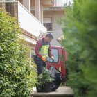 Un agent de la Policía Nacional amb algunes de les plantes decomissades.