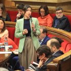 Parlon, durant la seua intervenció ahir al Parlament. - INTERIOR
