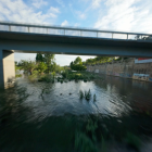 Les imatges aèries del riu Segre al seu pas per Lleida, desbordat