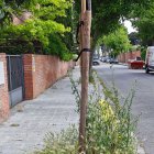 Un escocell ‘colonitzat' per males herbes a Ciutat Jardí. - AVCJ
