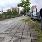 Herba sortint de la vorera al carrer Rosa Parks. - S.E.