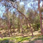 Un racó del Parc de Santa Cecília
