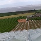 Malles amb granís ahir en una finca d’Alfés. - UNIÓ DE PAGESOS