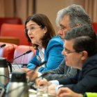 Cani Fernández, presidenta de la CNMC, ahir al Congrés. - GABRIEL LUENGAS / EUROPA PRESS