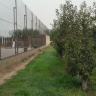 Vista dels terrenys que l’ajuntament d’Aitona ha adquirit al costat del col·legi Francesc Feliu. - AJUNTAMENT D’AITONA