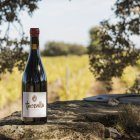 subzona GARRIGUES - BLUECOLLECTORS