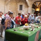 Visitants ahir de la XXVII Mostra de Bolets de Primavera al pati de l’IEI. - IEI