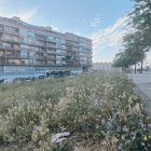 Pendent silvestre al costat del Parc de les Vies i els blocs Catalunya - JMA