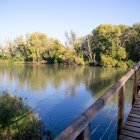 El riu Segre a l'altura del Parc de la Mitjana.
