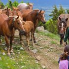 Un grup de voluntaris va acompanyar ahir els animals.