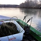 Endesa contribuye a combatir la plaga de la mosca negra en Lleida.