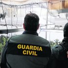 Dos agents de la Guàrdia Civil en una de les plantacions. - GUÀRDIA CIVIL