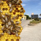 L'inicident va tenir lloc en aquest punt de la N-II al seu pas per la capital de la Segarra.