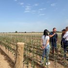 Imatge de la finca de QualityPlant de Bell-lloc. - PREMSA SUBDELEGACIÓ DEL GOVERN A LLEIDA