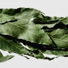 Hojas de laurel.