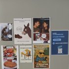 Paremiologia en mems - FOTOS DE UDL