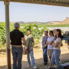 Participants de la jornada escolten les explicacions de Joan Esteve sobre reg a les vinyes de Raimat. - GERARD HOYAS