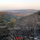 L'incendi agrícola de la Segarra s'ha donat per controlat aquest diumenge al matí.