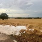 A Sant Ramon es temen pèrdues del 70 al 100%. - CEDIDA