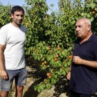 El president d'Asaja a Lleida, Pere Roqué, i el cap sectorial de la fruita dolça, Jordi Vidal, en una finca d'albercocs a Aitona.