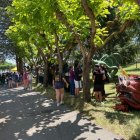 Les bèsties de foc van ser exposades ahir al matí a la pista del Pinell. - LO PEIROT