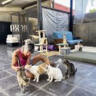 Una voluntària amb gats a la gatera municipal. - AJUNTAMENT DE TÀRREGA