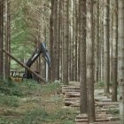 Imatge del documental sobre el negoci d’Ikea. - 3CAT