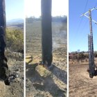 Endesa inspecciona la línia afectada per l'incendi entre Guissona i Ponts