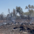 incendi torrefeta controlat