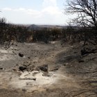 Zona forestal cremada per l'incendi de Torrefeta al municipi d'Oliola, a la Noguera.