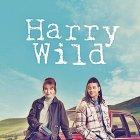 Harry Wild (Jane Seymour) amb Fergus Reid (Rohan Nedd). - AMC+