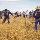 Reproducirán tareas como la siega con guadaña.