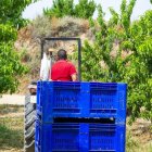 L’agricultura aglutina gairebé el 23% dels autònoms a Lleida. - ALEX SAMPER