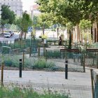 Riu Ebre ha deixat enrere l’asfalt per convertir-se en una ronda verda, i a la rambla Ferran un aligot de Harris controla la població de coloms des de fa setmanes. - JORDI ECHEVARRIA
