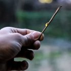 Una cuca de llum reposa en un pal que sosté una persona. - EDGAR ALDANA
