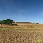 Imatge d’una recol·lectora treballant en una finca de cereal a Gimenells.