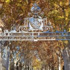 Un nou estiu - LLUÏSA PLA