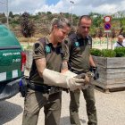 La jornada va comptar amb la col·laboració d’Agents Rurals. - A. VINAIXA