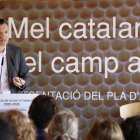 Ordeig durant la presentació del pla a Barcelona. - ACN