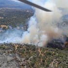 Reactivat un incendi a Àvila, i estabilitzats a Palència i Badajoz - JCYL